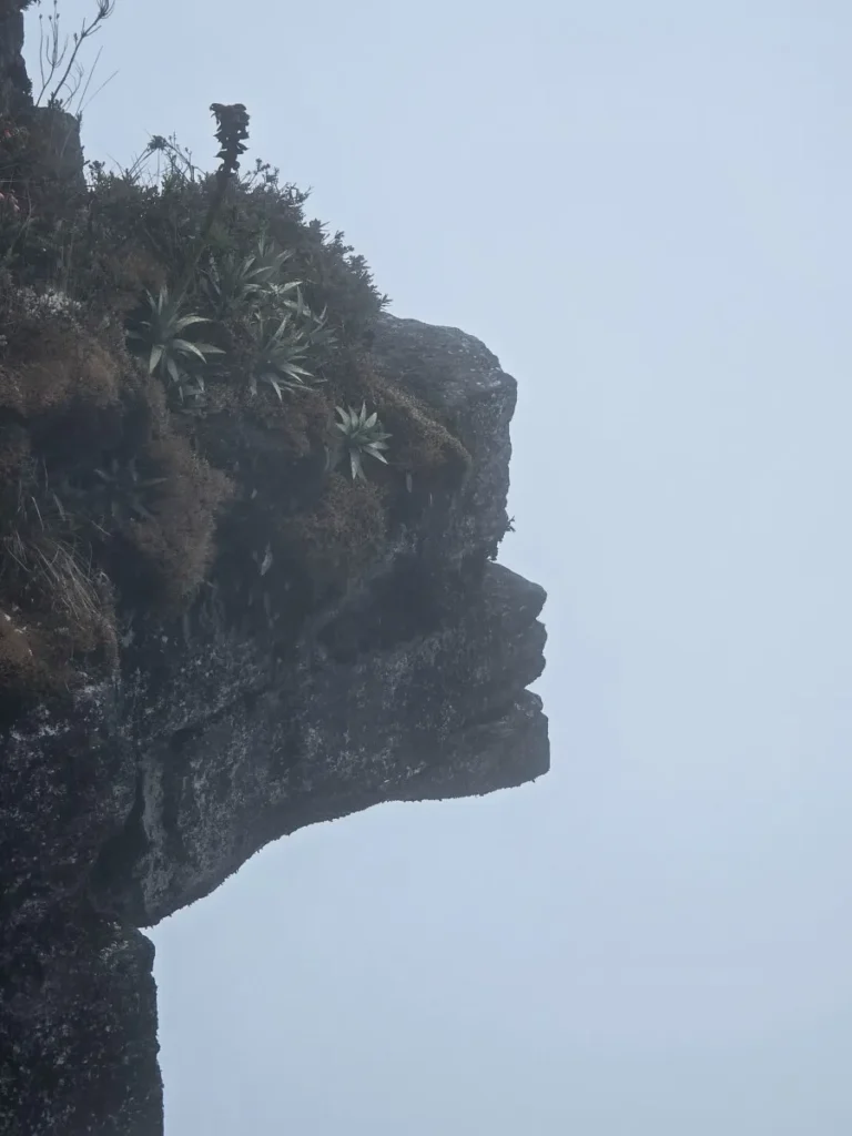 Cara del indio